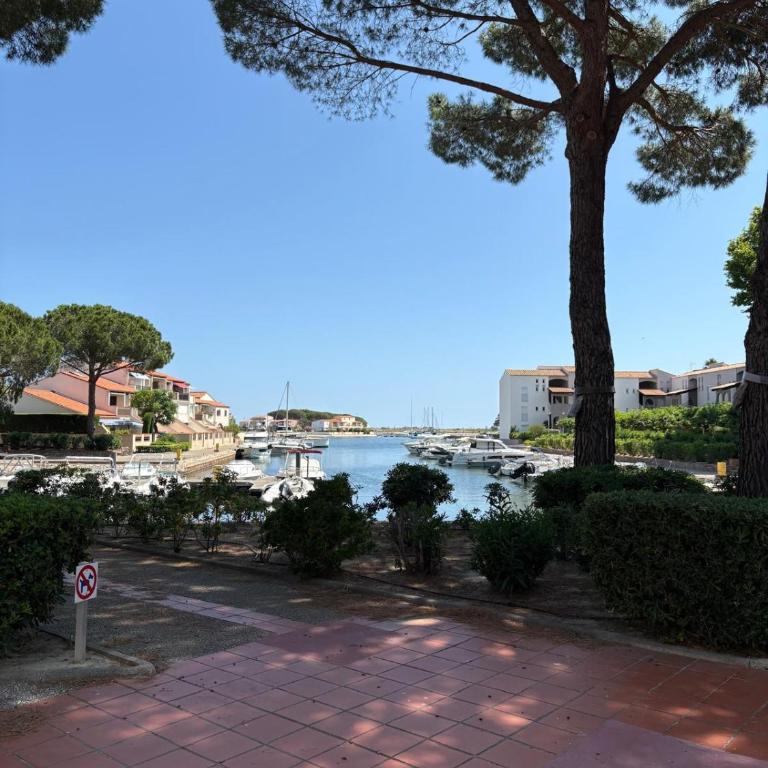 Appart en RDC avec grandre terrasse sur la Marina - Appartamento - 2
