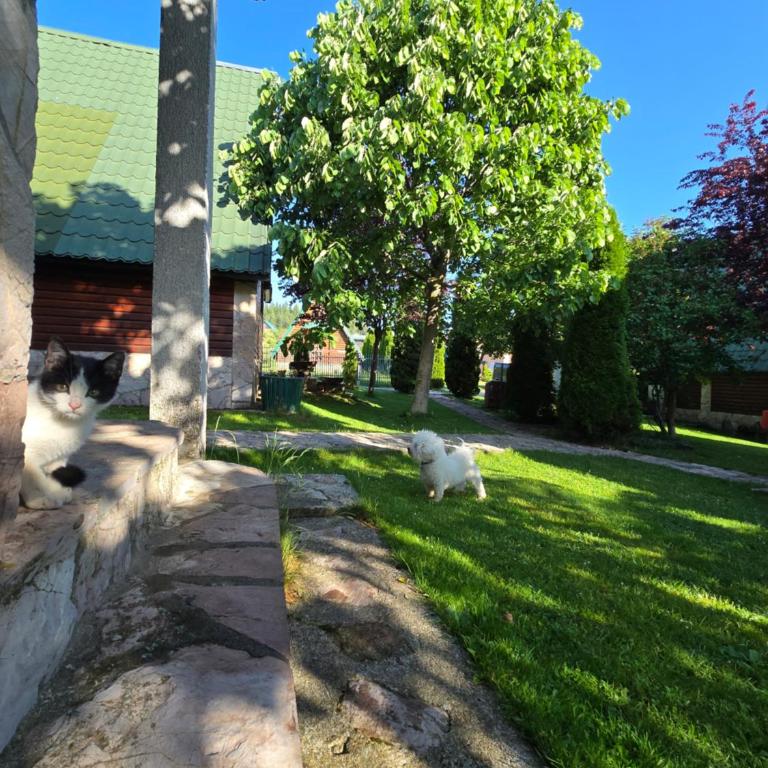 Holiday Home Vile Calimero - Two-Bedroom House - 36