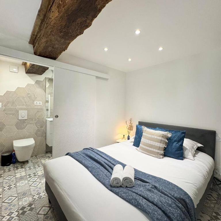 Le Petit Contour, Hyper centre de Rennes - Appartamento con 1 Camera da Letto - 5