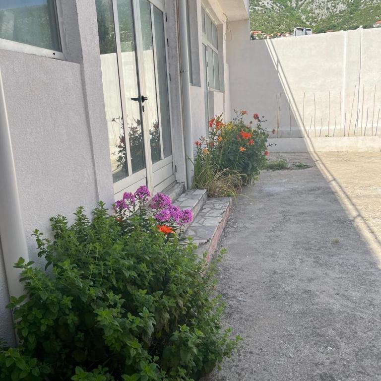 Filip house apartments - One-Bedroom Apartment - 2