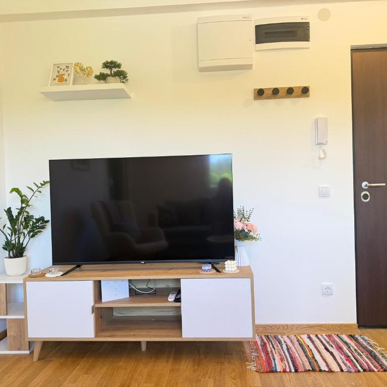 Tajna Ozrena - Sokobanja - Apartman sa 1 Spavaćom Sobom - 7