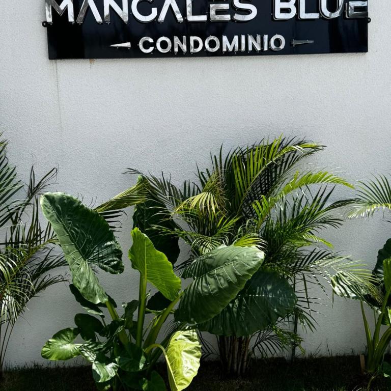 Menacho Apartment - Mangales Blue - Apartamento de 1 dormitorio - 13