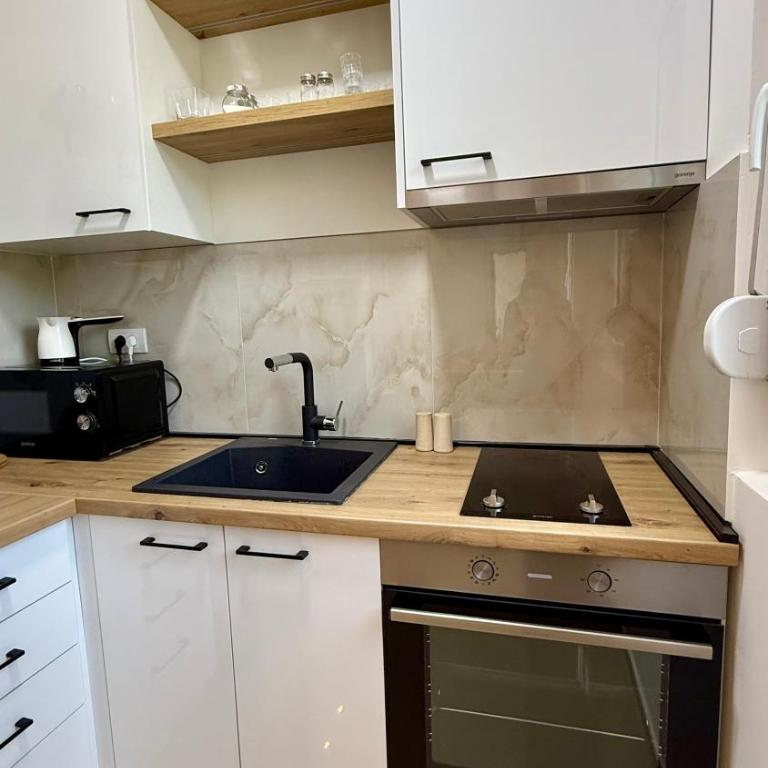 Tajna Ozrena - Sokobanja - Apartman sa 1 Spavaćom Sobom - 14