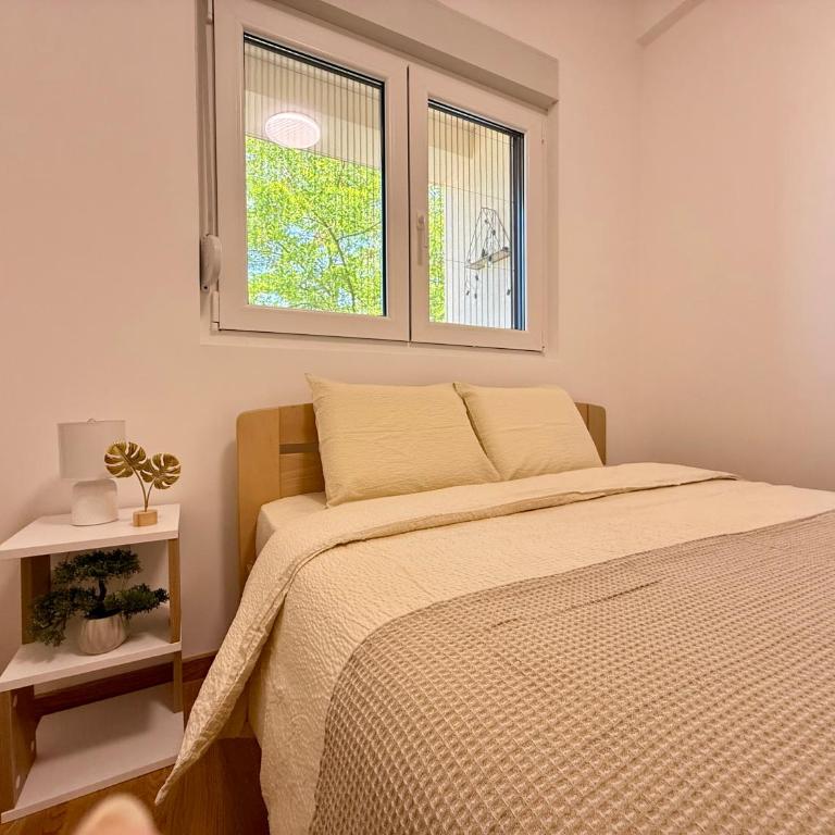Tajna Ozrena - Sokobanja - Apartman sa 1 Spavaćom Sobom - 21