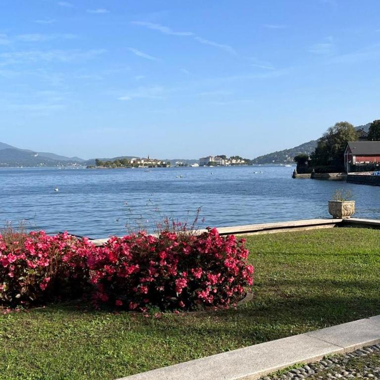 Nice Stresa - Appartamento Isola Madre - Appartamento con 1 Camera da Letto - 39