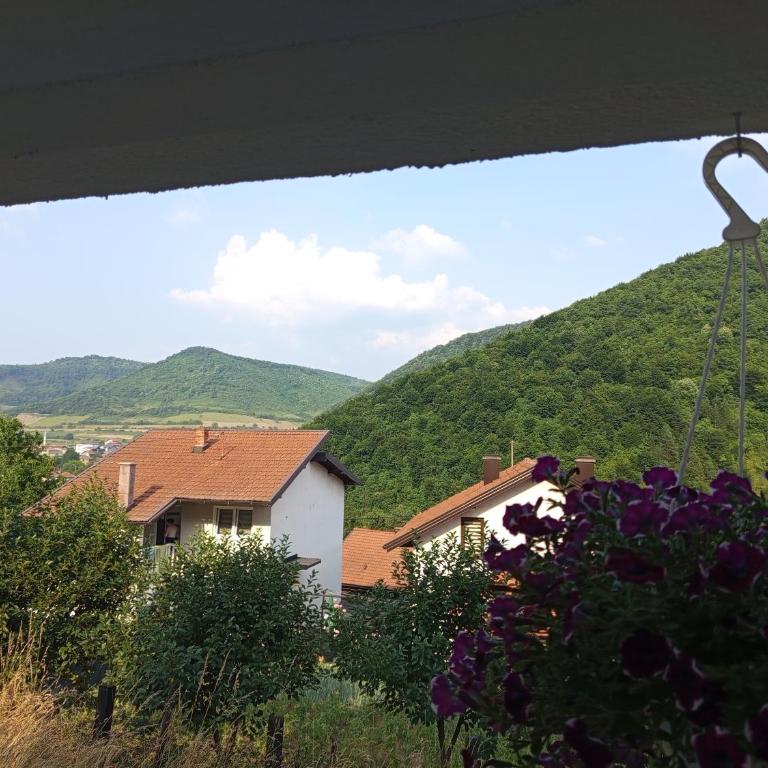 Apartman Emma - Apartman sa 1 Spavaćom Sobom - 23