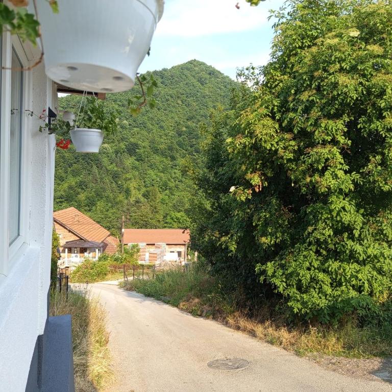 Apartman Emma - Apartman sa 1 Spavaćom Sobom - 22