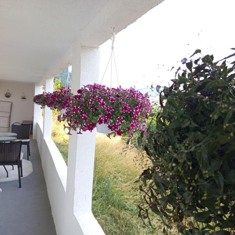 Apartman Emma - Apartman sa 1 Spavaćom Sobom - 27