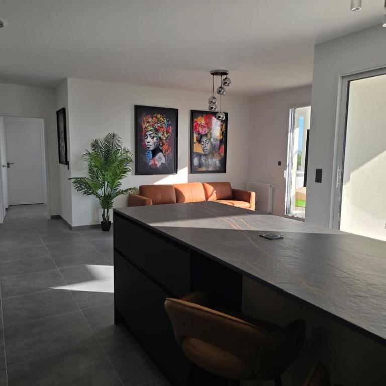 CS Skyline rooftop spa de nage - Apartment mit 3 Schlafzimmern - 12