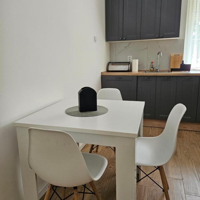NEST Apartment - One-Bedroom Apartment - 2