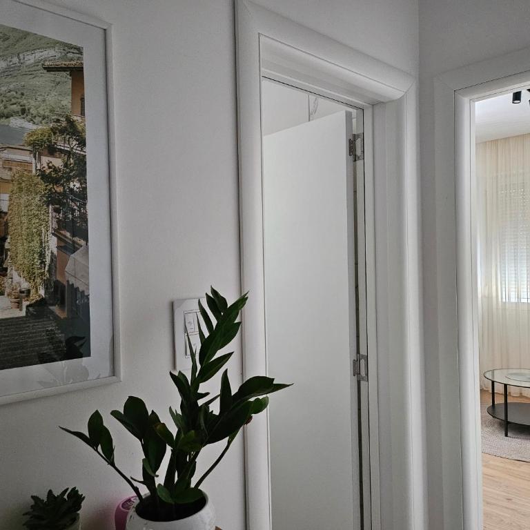 NEST Apartment - One-Bedroom Apartment - 3