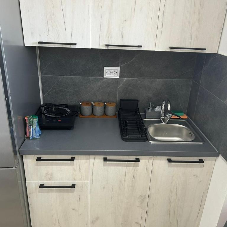 Apartmani Filipovic - Apartman sa 1 Spavaćom Sobom - 8