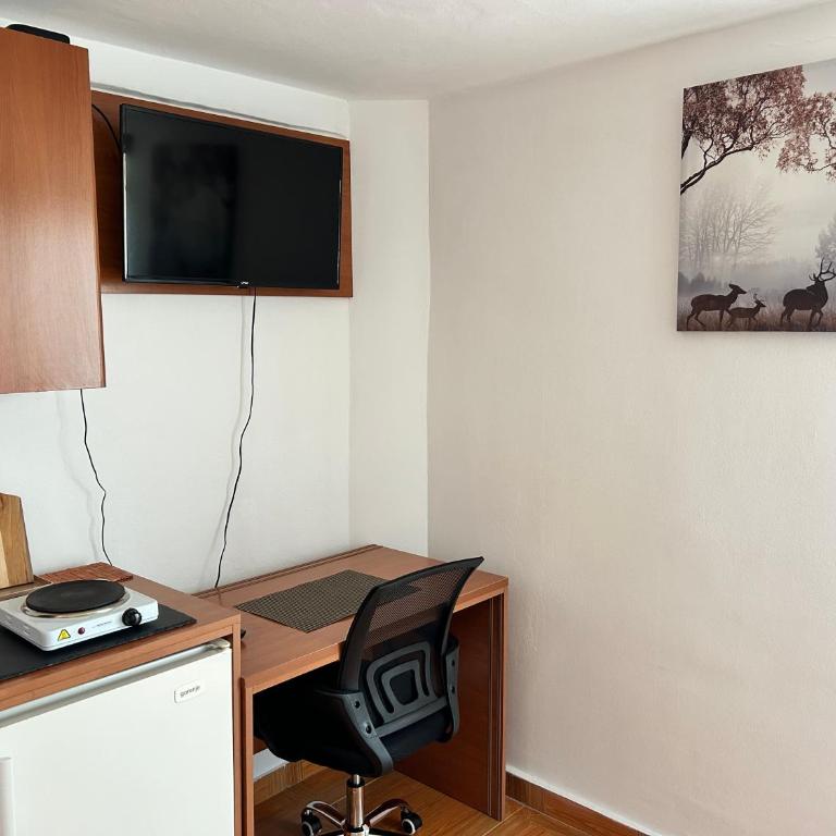 Apartments Jankovic - Single Room with Terrace - 2