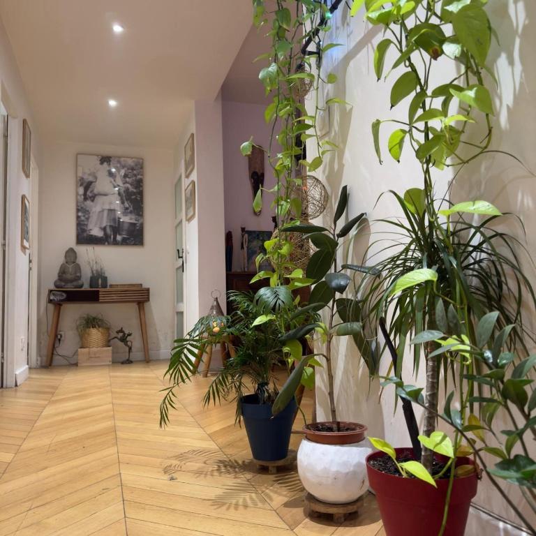Appartement Paris 12 proche du centre avec parking - Appartement 2 Chambres - 3