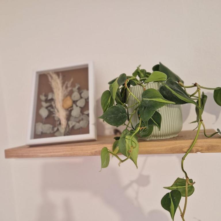 Love nest cathedral ,in the heart of the city - Appartamento con 1 Camera da Letto - 19