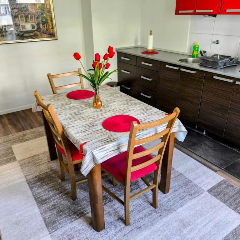 Apartman Banja Luka 2 - Apartman sa 1 Spavaćom Sobom - 15