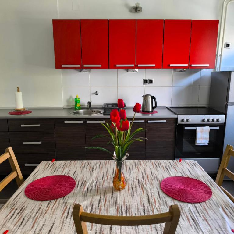 Apartman Banja Luka 2 - Apartman sa 1 Spavaćom Sobom - 12