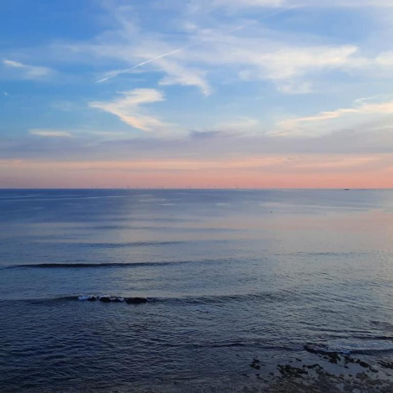 MAGNIFIQUES APPTS à 1 MINUTE DE LA PLAGE - Estudio con vistas al jardín - 11
