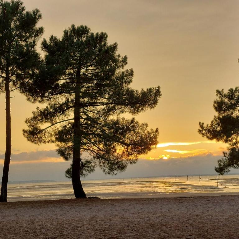 MAGNIFIQUES APPTS à 1 MINUTE DE LA PLAGE - Apartamento de 1 dormitorio - 18