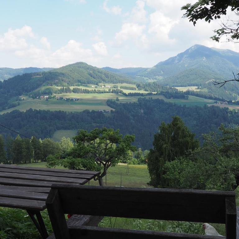 Rizzi Haus - Apartment mit Blick auf die Berge - 10