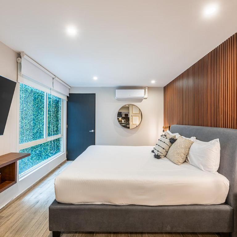 Cicerón 612 Polanco - Estudio Estándar - 7