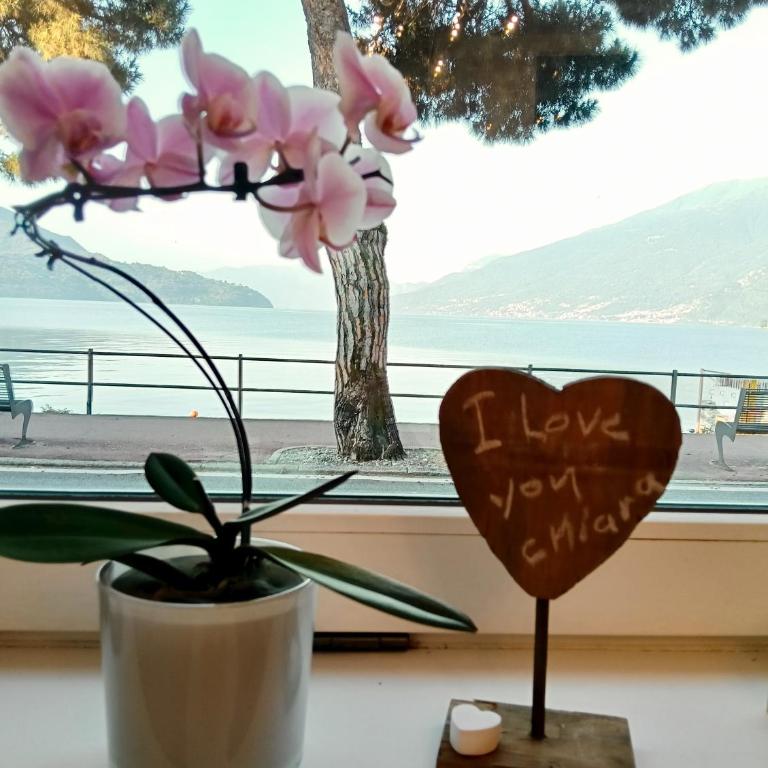 Lake Como PORTO VECCHIO - Charming Lakefront Apartment in the Heart of Domaso - Appartamento con 1 Camera da Letto - 63
