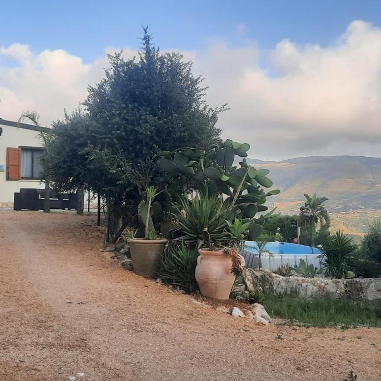 Al ficodindia - Casa con 2 Camere da Letto - 5