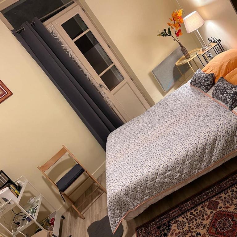 LE SPLENDID - Hypercentre - Proche Opéra & Parcs - Thermes - Appartement 1 Chambre - 43