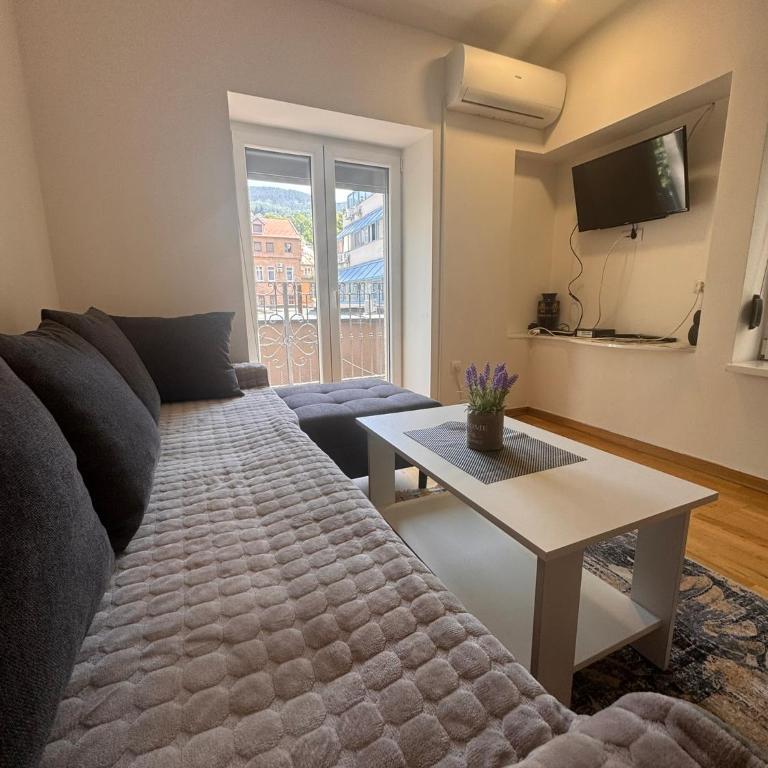 Central Point Sarajevo Apartments - City Center - Deluxe Apartment - 11