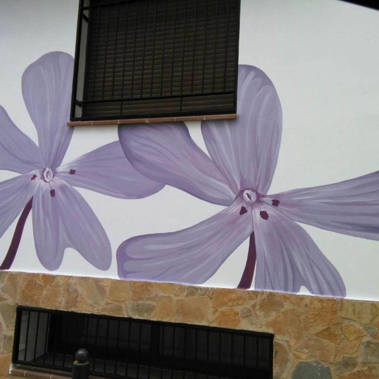 Casa Viola De Cazorla - Casa - 18