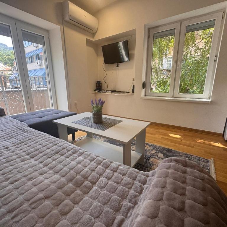 Central Point Sarajevo Apartments - City Center - Deluxe Apartment - 1