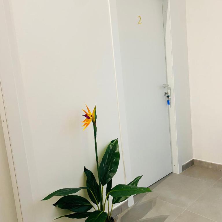 Micrea House Lido Beach - Appartamento con 2 Camere da Letto e Balcone - 1