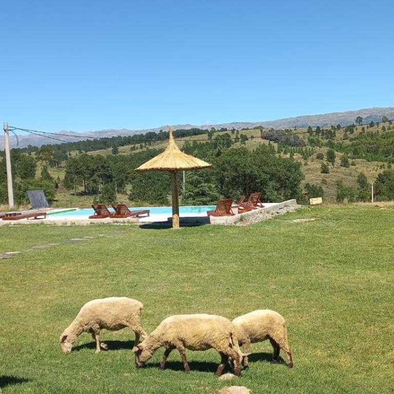 Las Calandrias - Chalet 1 - 12