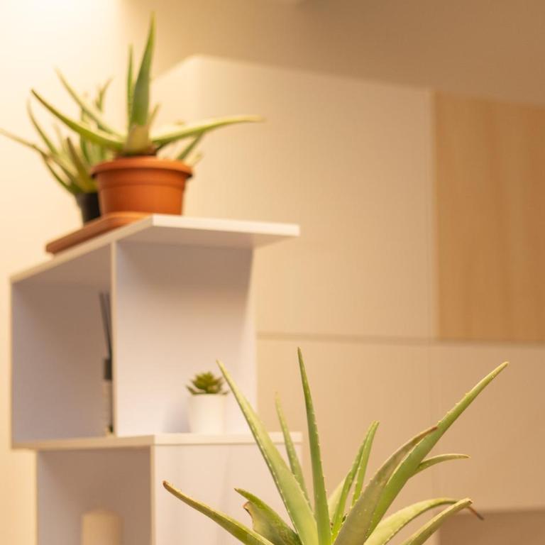 Battisti Flat, near station - One-Bedroom Apartment - 16
