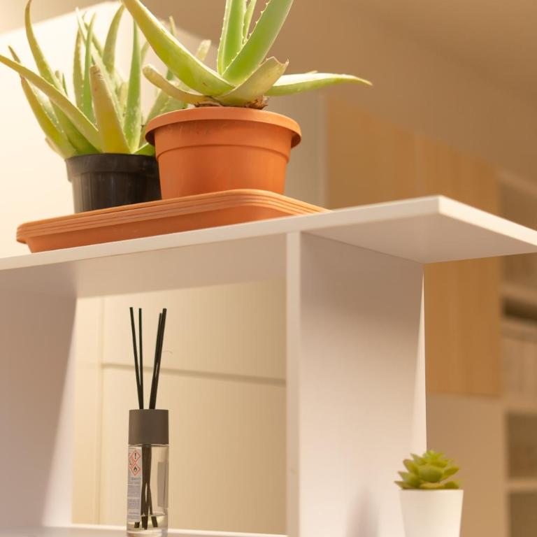 Battisti Flat, near station - One-Bedroom Apartment - 17