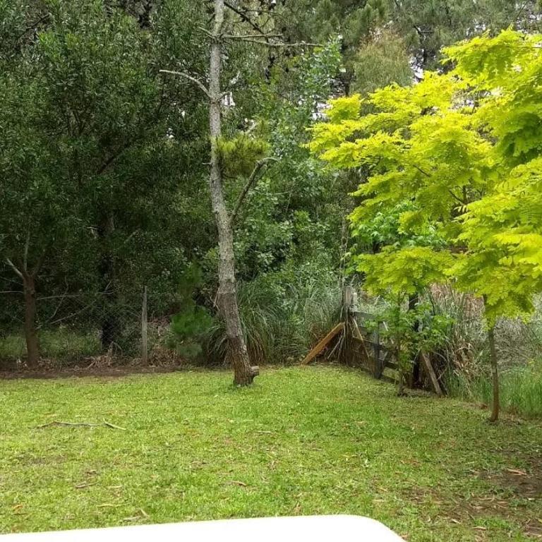 Cabaña 2 CaAliLu Avenida 4 - Two-Bedroom Apartment - 13