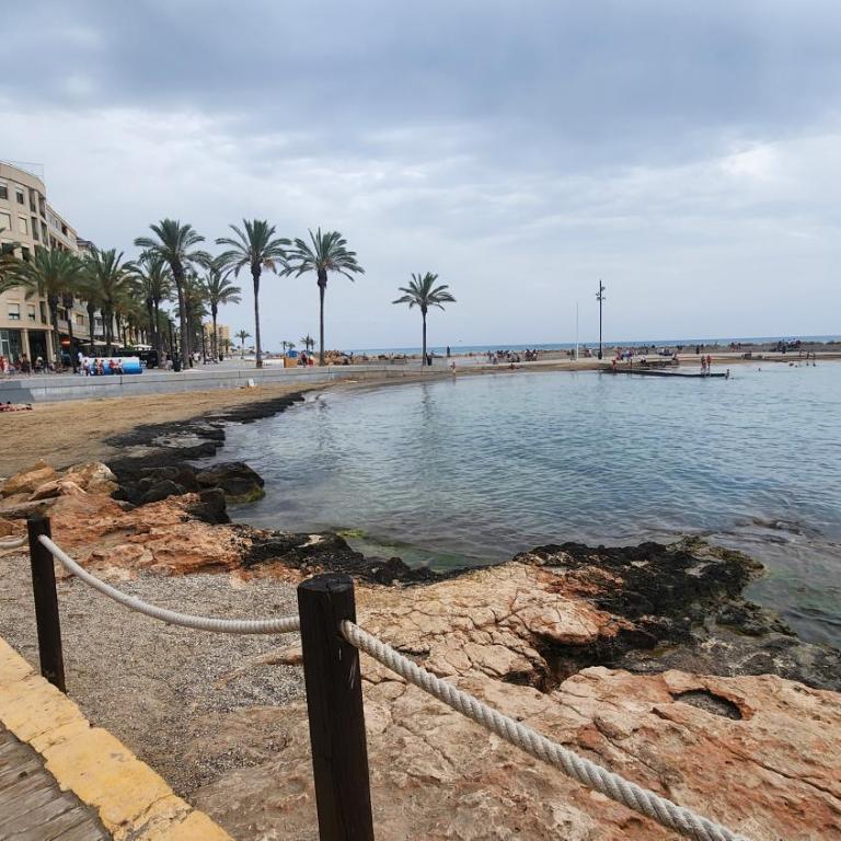 Apartament Torrevieja Playa Los Locos - Apartamento de 2 dormitorios - 64