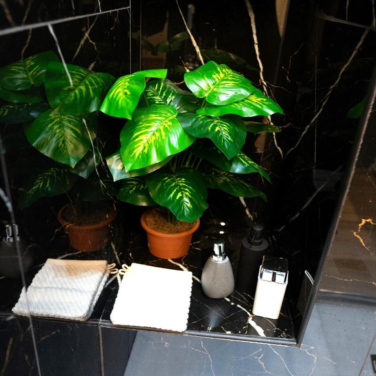 BOHEMIAN PIGNETO RHOME - 2 bdr 2 bath family friendly comfort & elegance - Colosseum at 4 metro stops - Secure & vibrant area, Pigneto metro & historic car free Island at 10 min walk - Easy access to Termini, La Sapienza, Policlinico Umberto I - Appartamento - 24