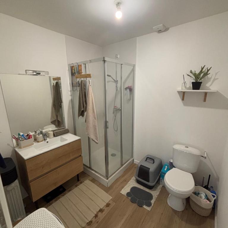 Studio lumineux 45m2 - Appartement 1 Chambre - 4