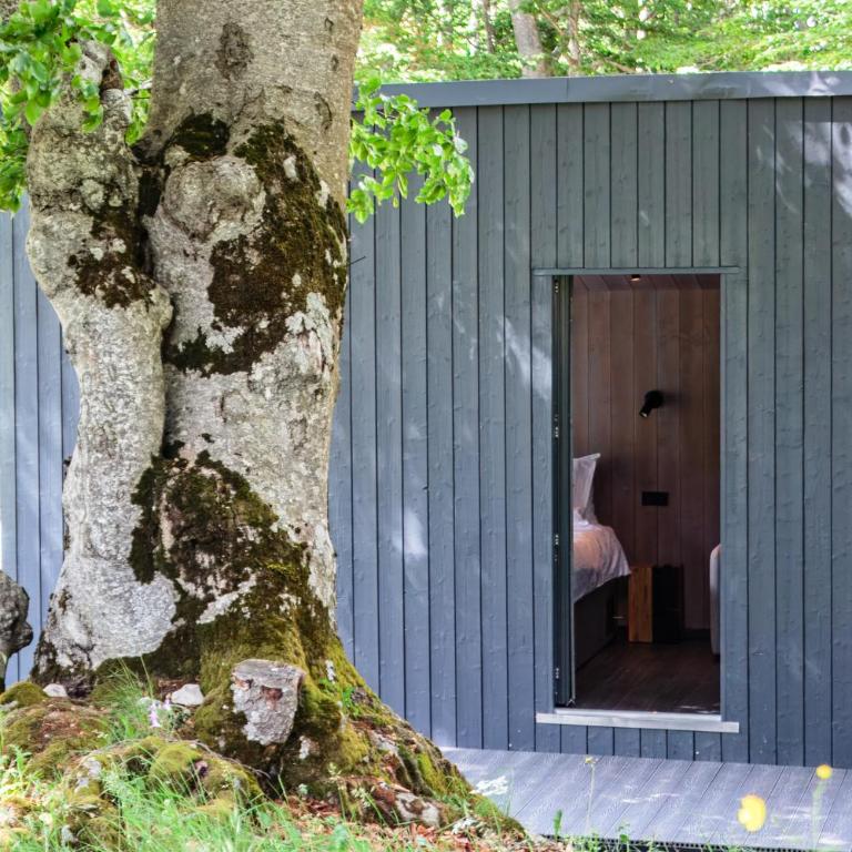 Ginger Cabins - One-Bedroom Chalet - 28