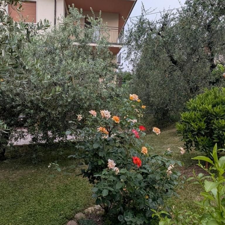 Lake Garda Renovated Apartment - Appartement 2 Chambres - 35