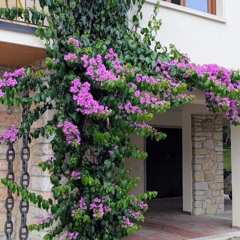 Lake Garda Renovated Apartment - Appartement 2 Chambres - 31