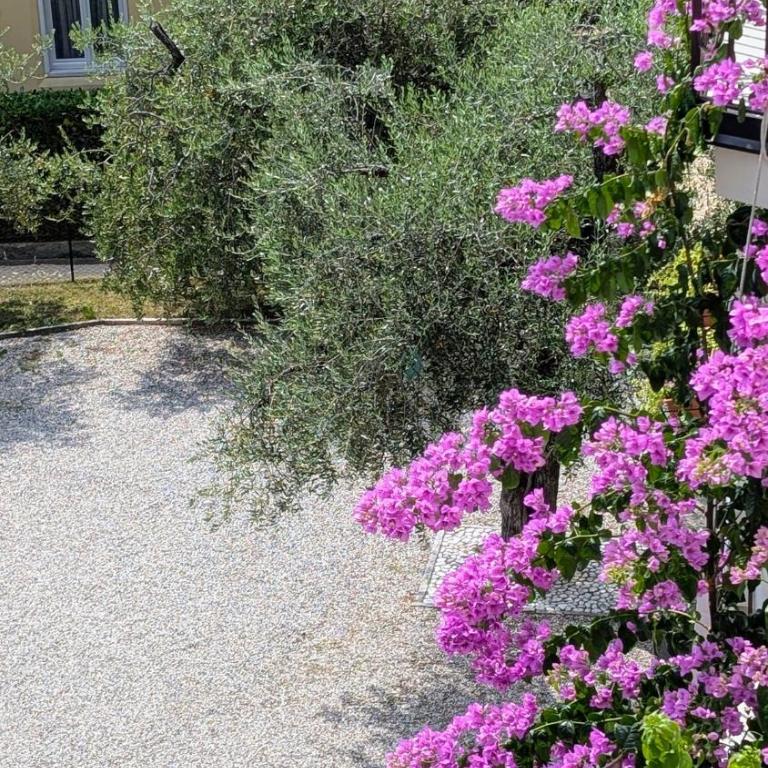 Lake Garda Renovated Apartment - Appartement 2 Chambres - 33