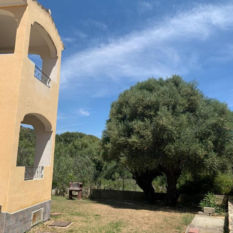 Casa Mirto, ground floor, Borgo Solità - IUN P6978 - Casa con 2 Camere da Letto - 13