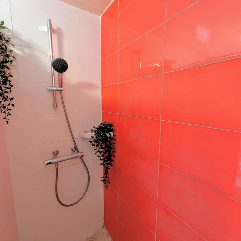 Dod's location 2 - Appartement 1 Chambre - 6
