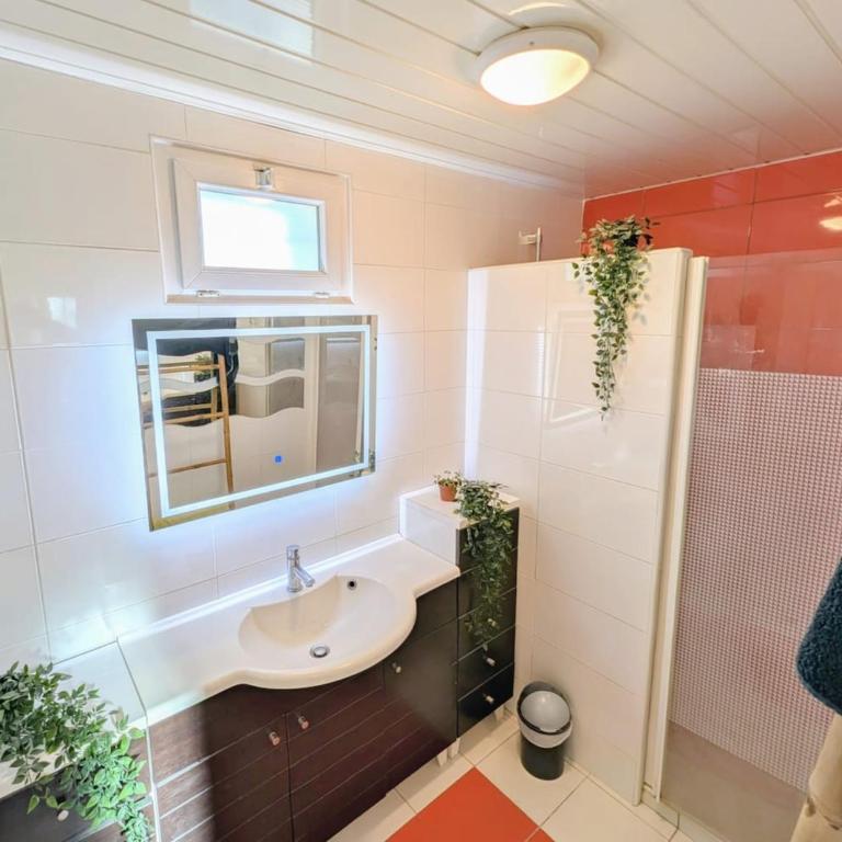 Dod's location 2 - Appartement 1 Chambre - 7