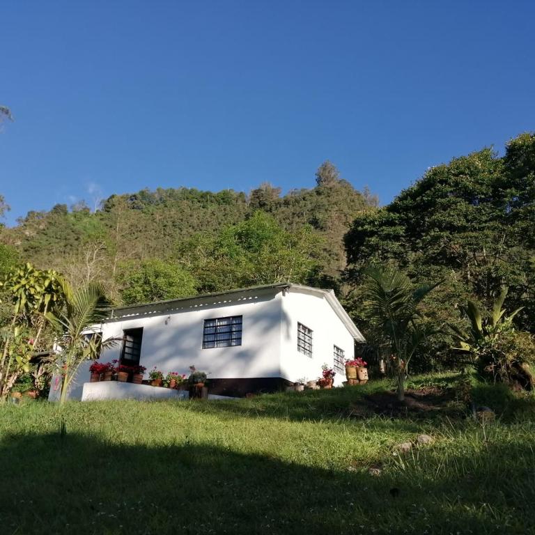 Villa Alegría - Casa - 19
