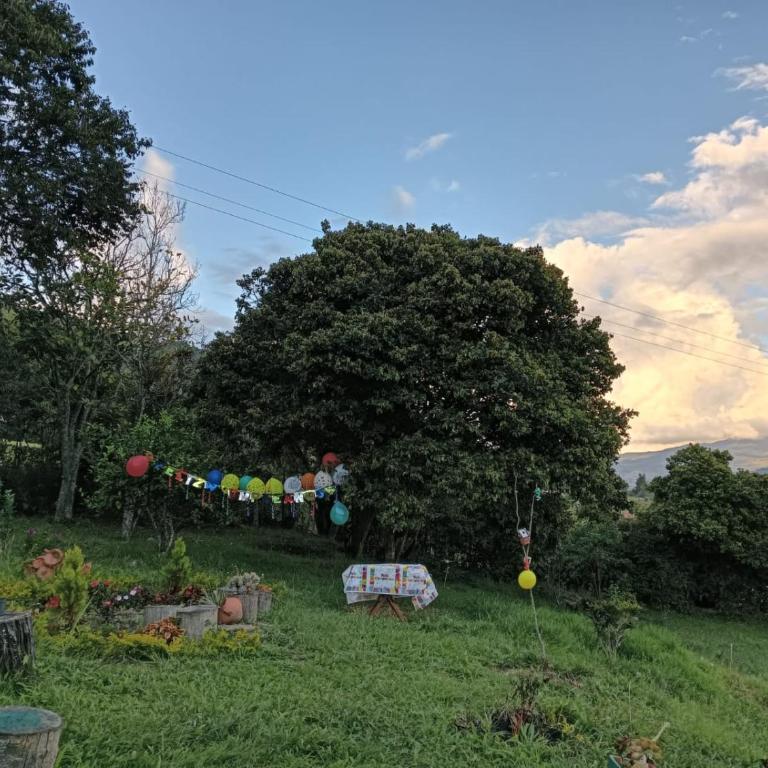 Villa Alegría - Casa - 25