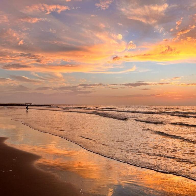 Brand new apartment on Marbella beaches - Apartamento de 3 dormitorios y vistas al mar - 3