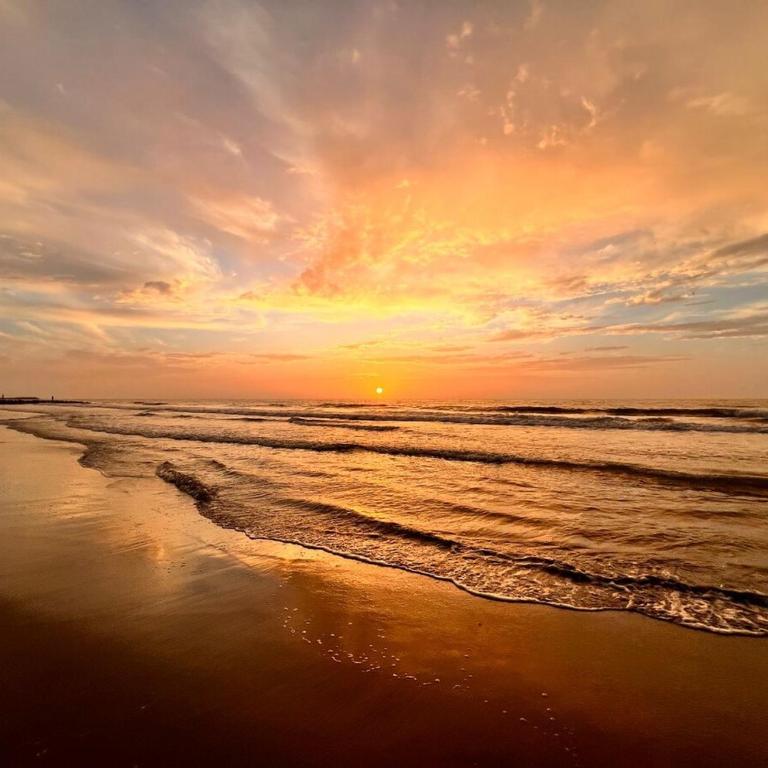 Brand new apartment on Marbella beaches - Apartamento de 3 dormitorios y vistas al mar - 12